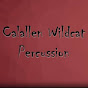 Calallen Wildcat Percussion